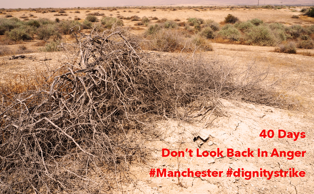 Don’t Look Back in Anger #Day40